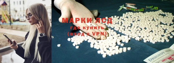 ПСИЛОЦИБИНОВЫЕ ГРИБЫ Беломорск
