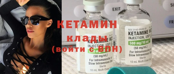 шишки Снежногорск