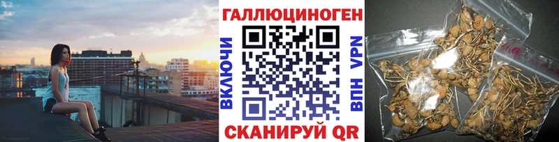 где найти наркотики  Горняк  Галлюциногенные грибы мицелий 