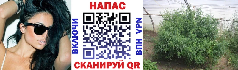 где найти Горняк Канабис тримм